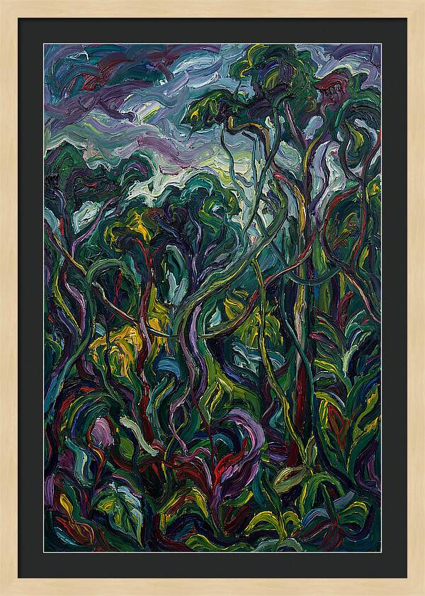 Rainforest Reverie