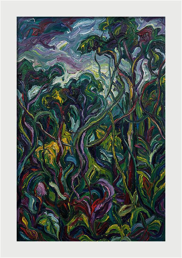 Rainforest Reverie