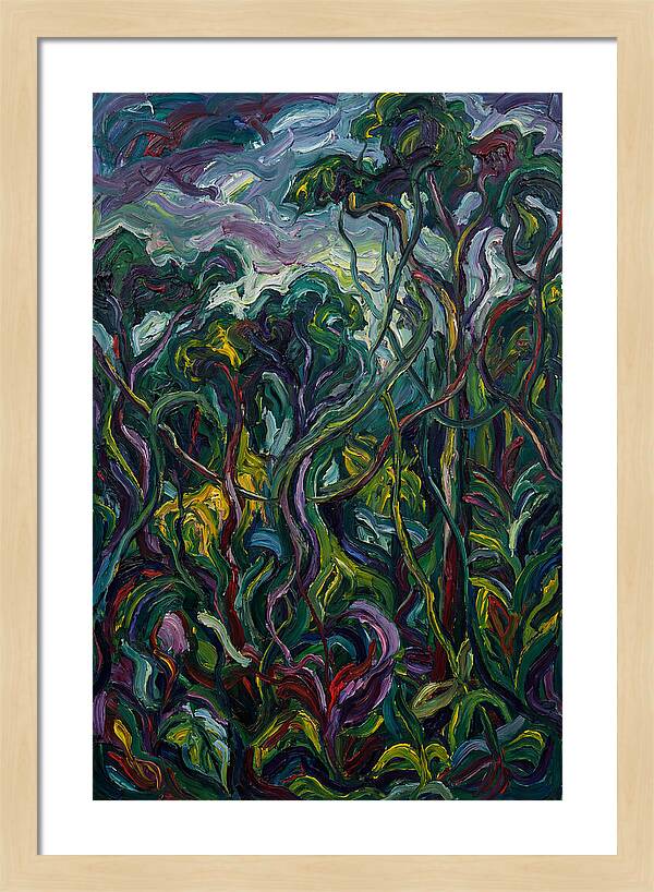 Rainforest Reverie