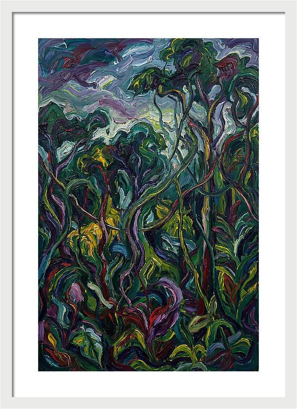 Rainforest Reverie
