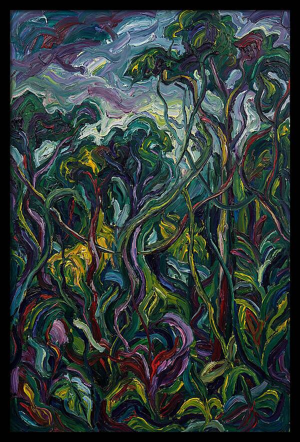 Rainforest Reverie