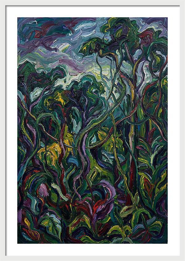 Rainforest Reverie