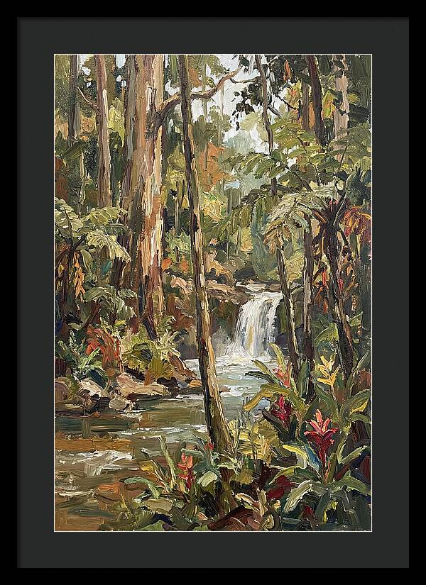 Rainforest Tranquility