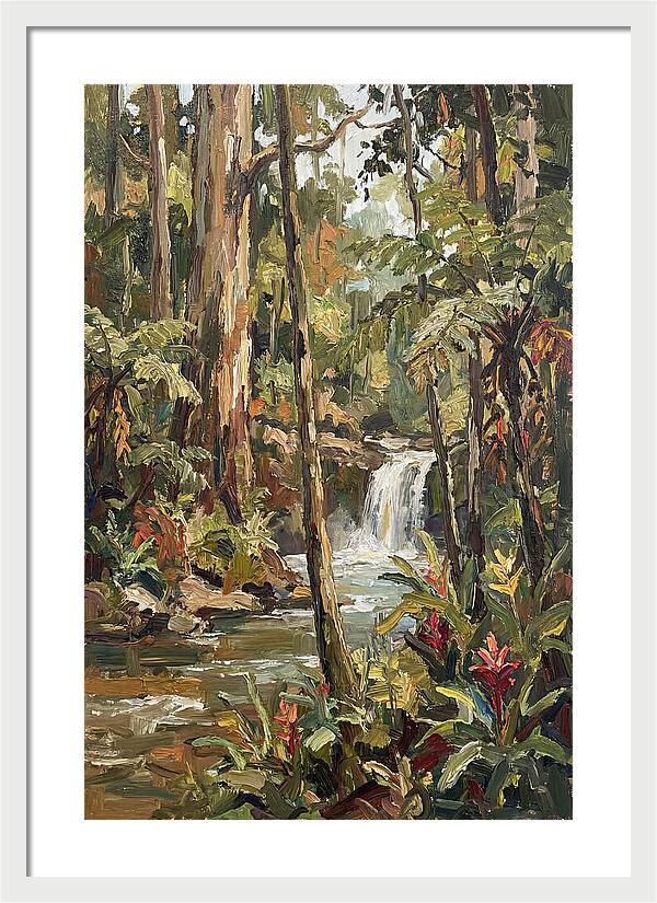 Rainforest Tranquility