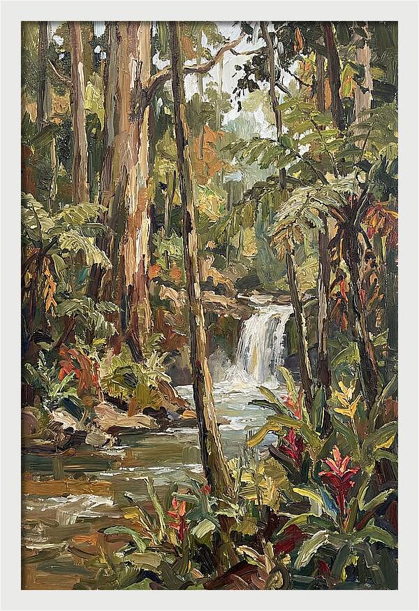 Rainforest Tranquility