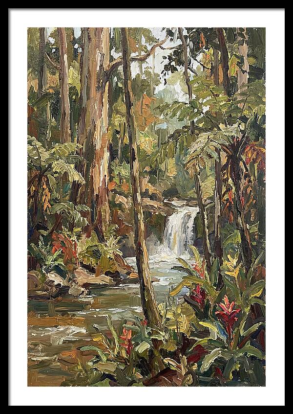 Rainforest Tranquility