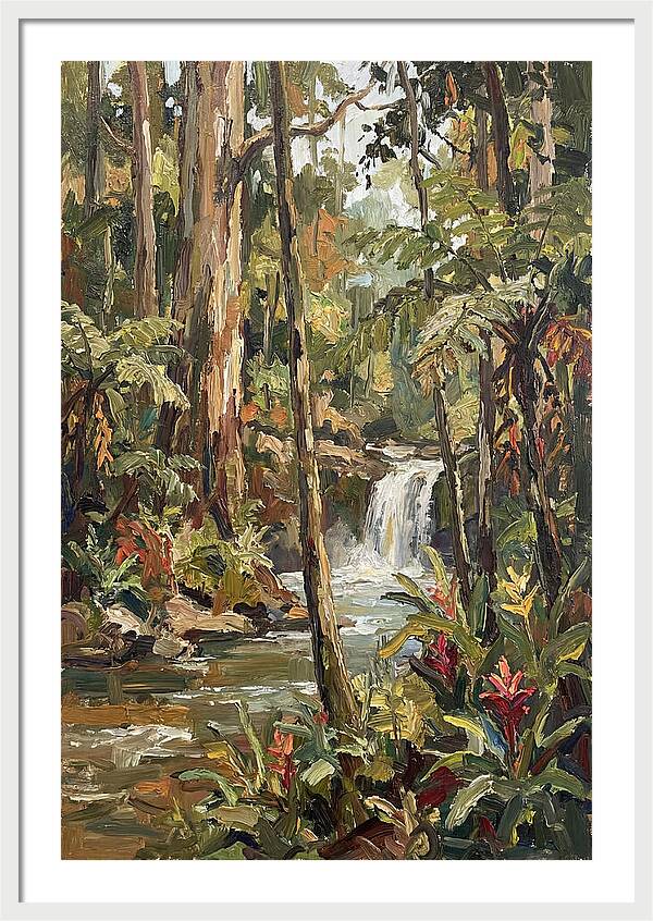 Rainforest Tranquility