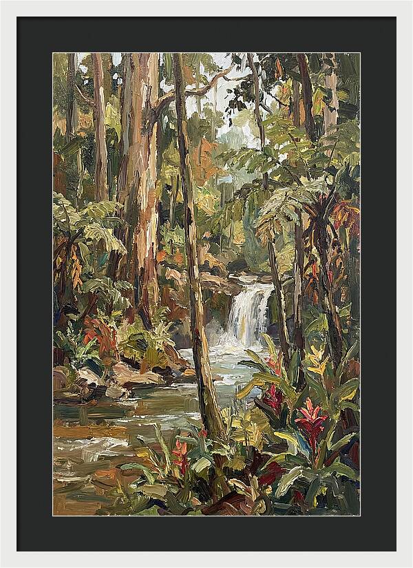 Rainforest Tranquility