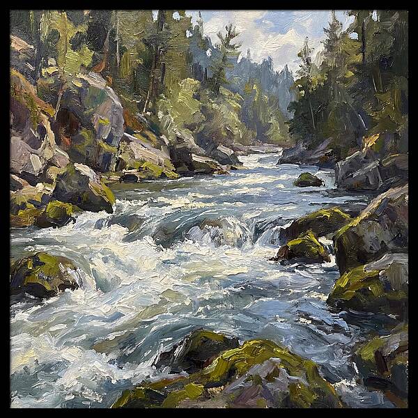 Rapid Water Flowing Through Rocks