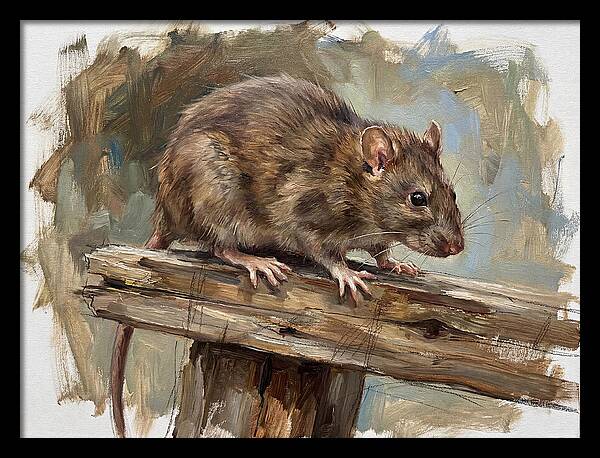 Rat On A Wooden Beam