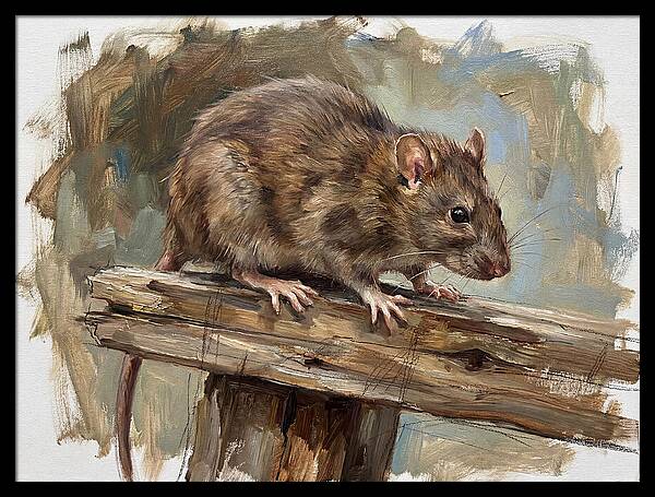 Rat On A Wooden Beam