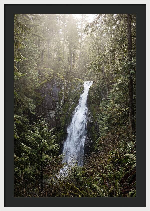 Raven Cliff Falls Serenity