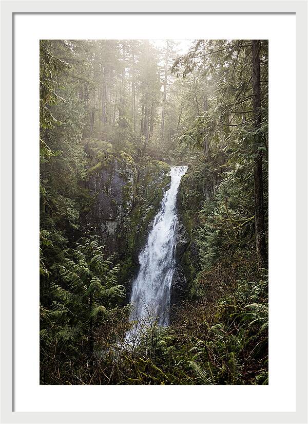 Raven Cliff Falls Serenity