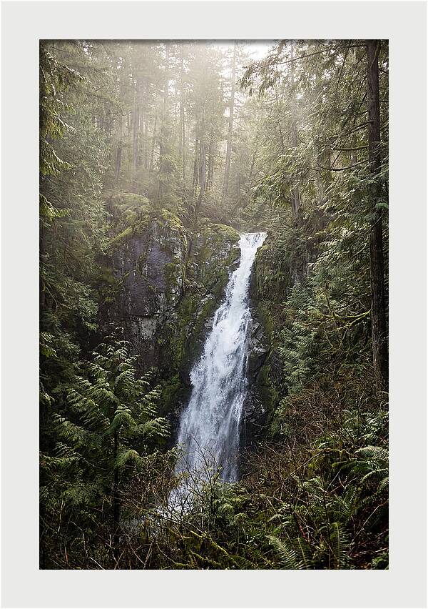 Raven Cliff Falls Serenity