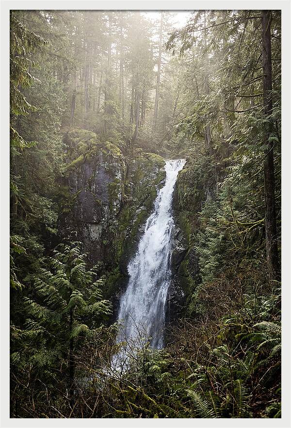 Raven Cliff Falls Serenity