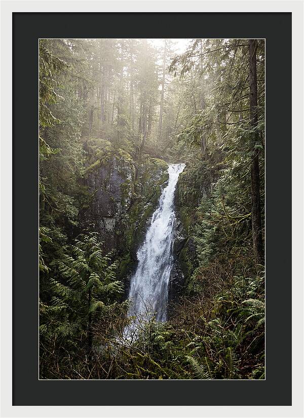 Raven Cliff Falls Serenity