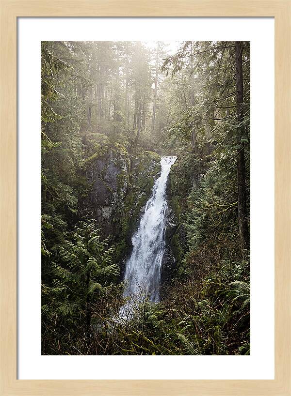 Raven Cliff Falls Serenity