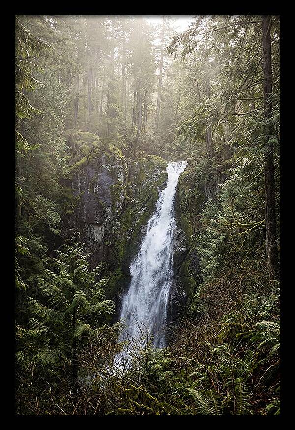 Raven Cliff Falls Serenity