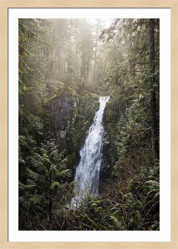 Raven Cliff Falls Serenity