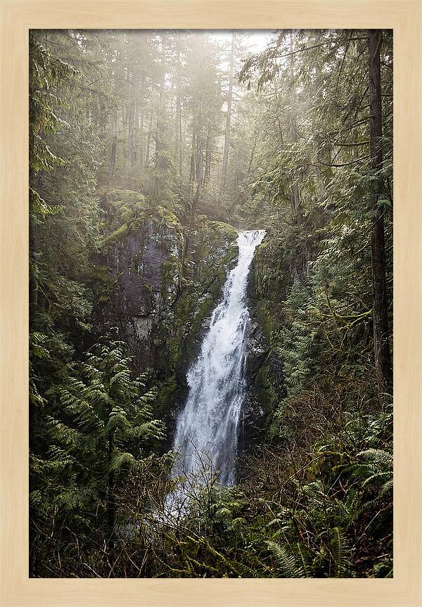 Raven Cliff Falls Serenity