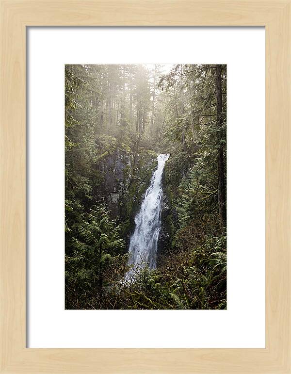 Raven Cliff Falls Serenity