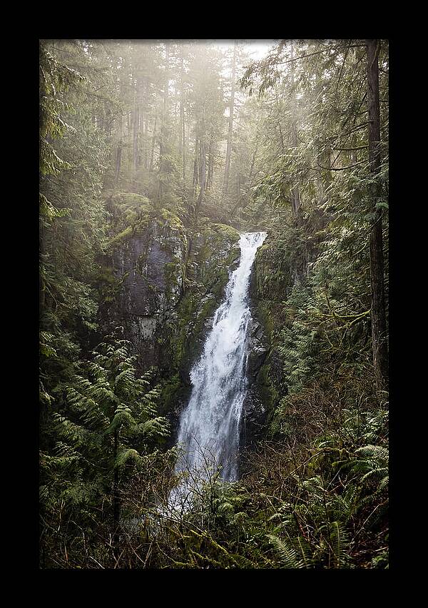 Raven Cliff Falls Serenity