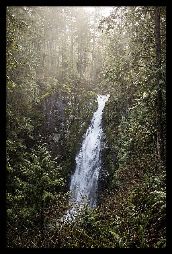 Raven Cliff Falls Serenity