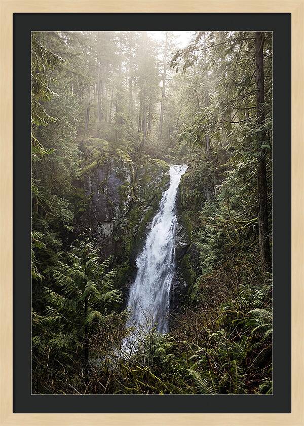 Raven Cliff Falls Serenity
