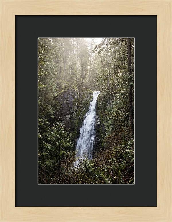 Raven Cliff Falls Serenity