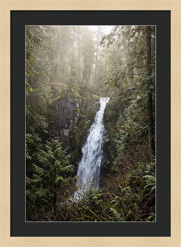 Raven Cliff Falls Serenity