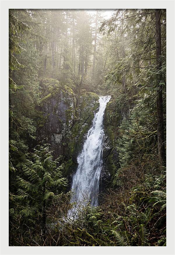 Raven Cliff Falls Serenity