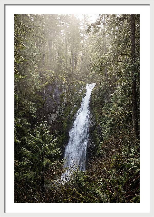 Raven Cliff Falls Serenity