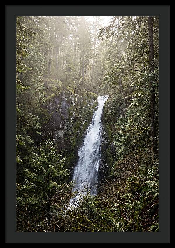 Raven Cliff Falls Serenity