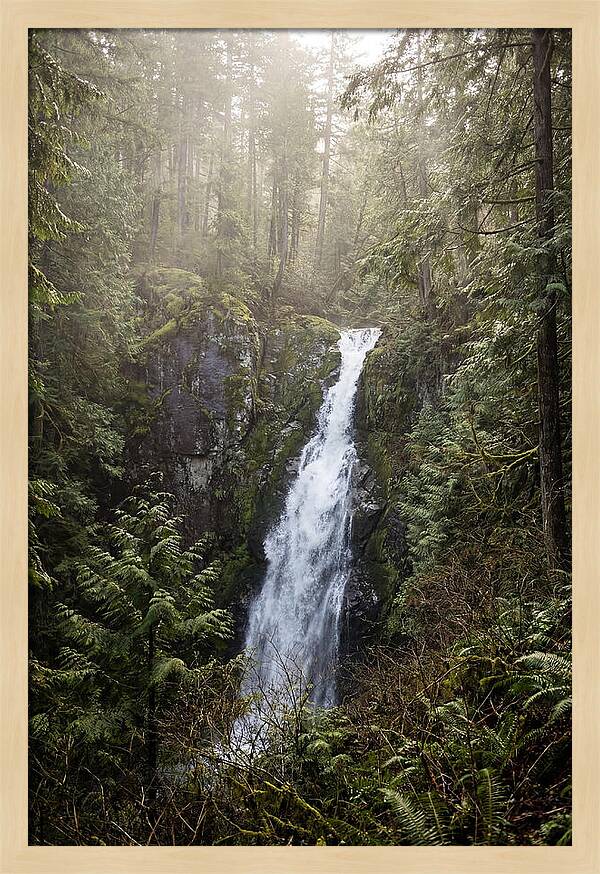 Raven Cliff Falls Serenity