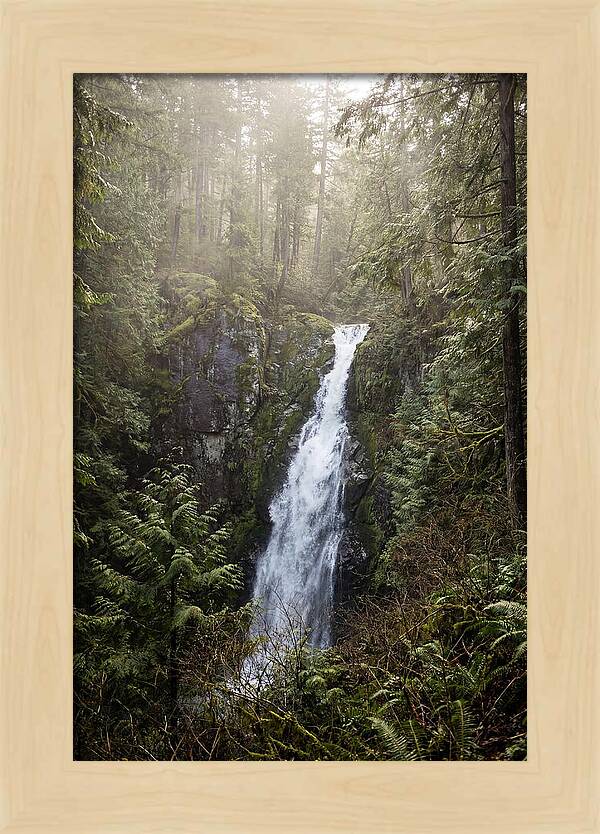 Raven Cliff Falls Serenity