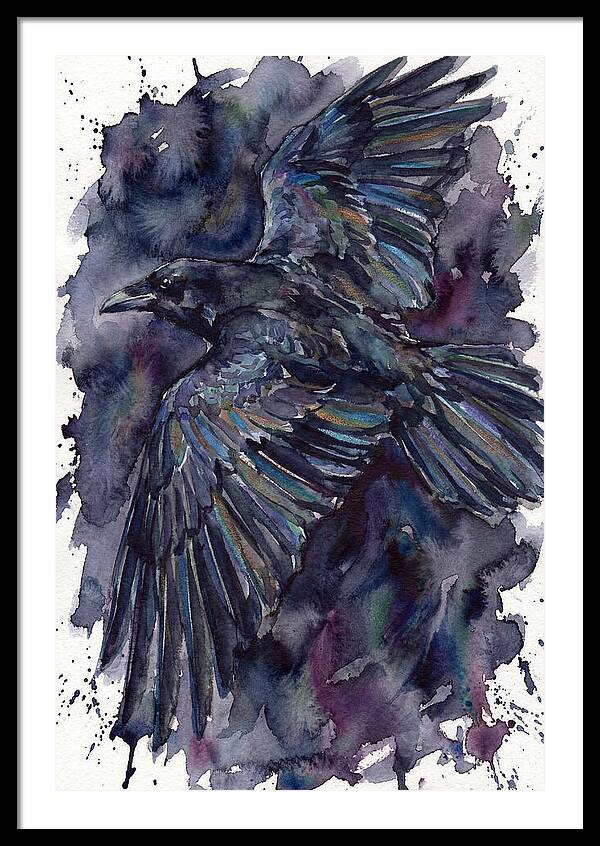 Raven In Flight
