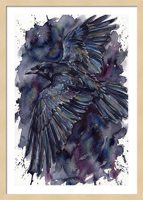 Raven In Flight