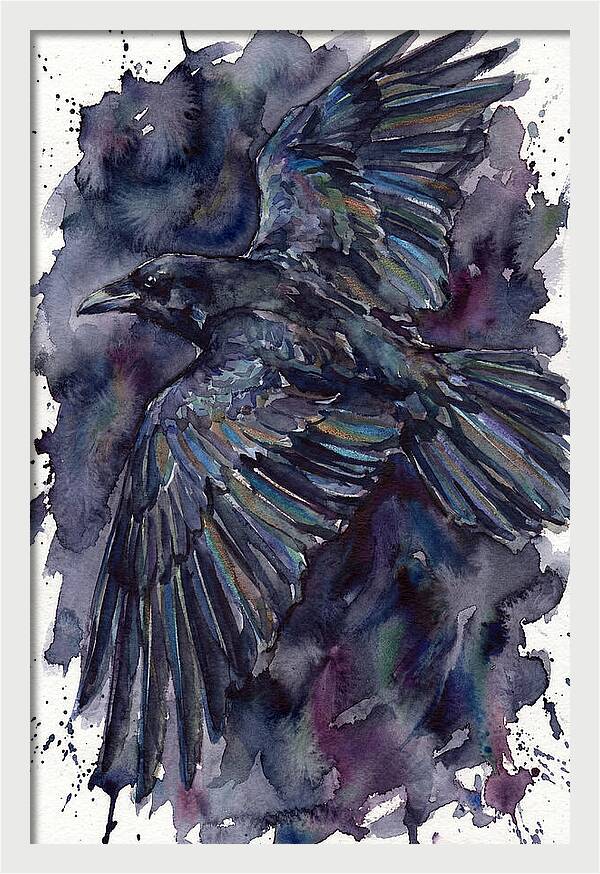 Raven In Flight