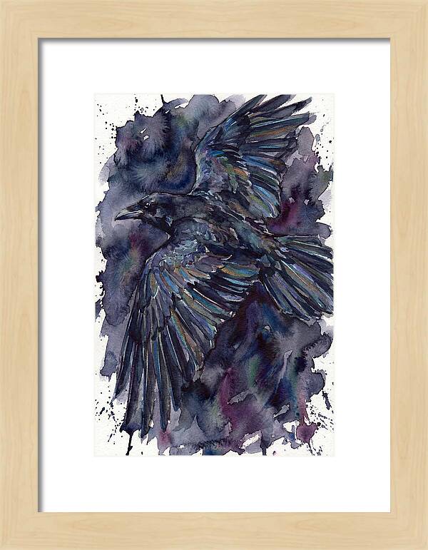 Raven In Flight