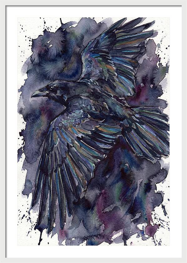Raven In Flight