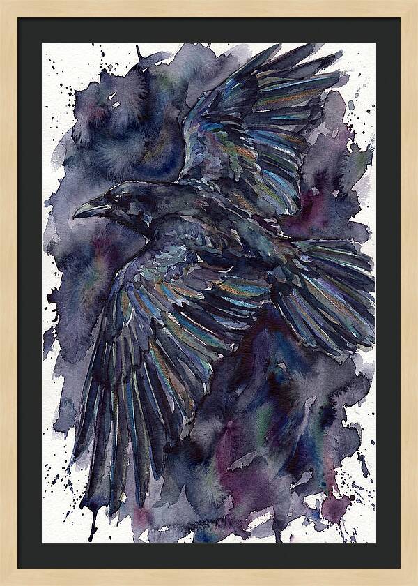 Raven In Flight