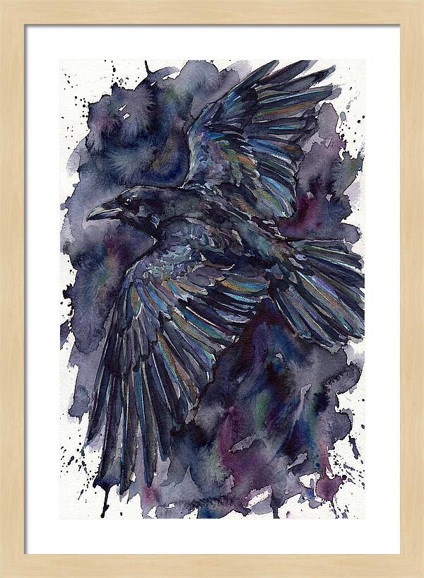 Raven In Flight