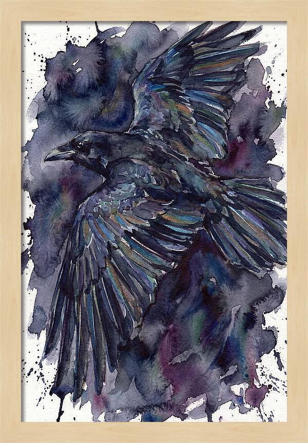 Raven In Flight