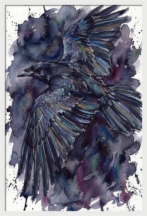 Raven In Flight