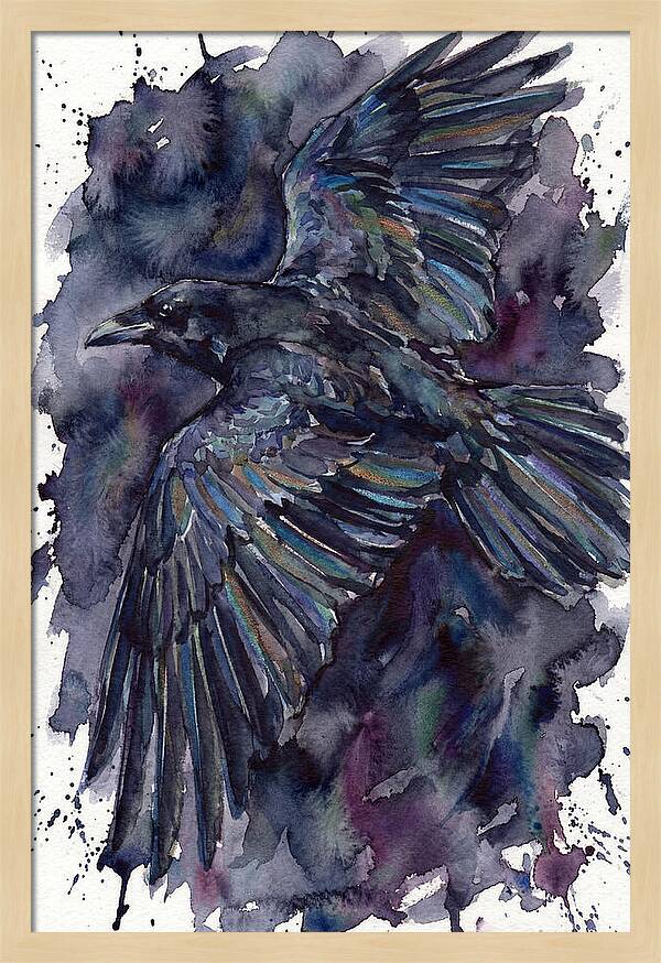 Raven In Flight