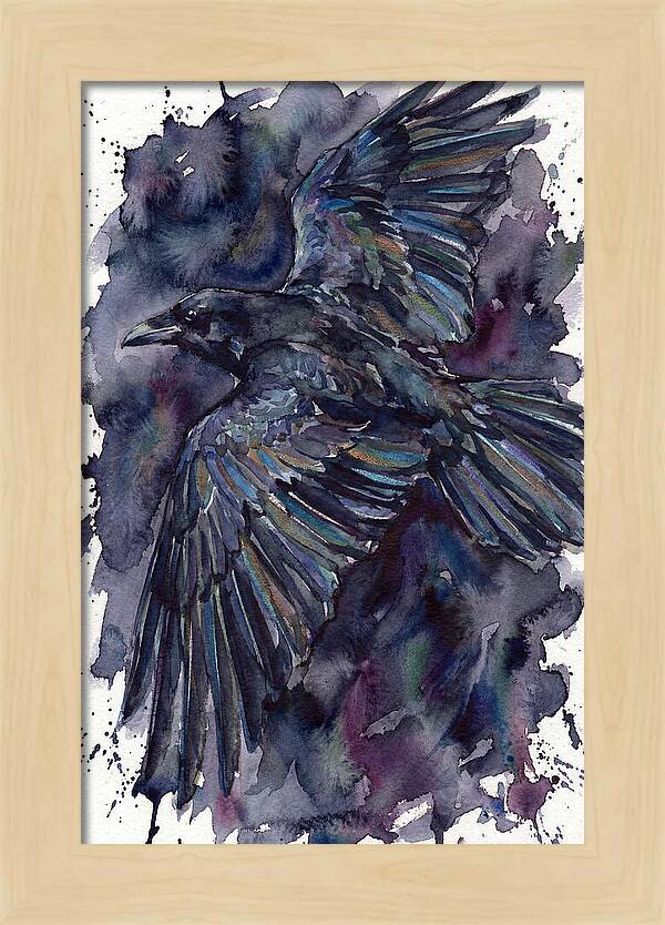 Raven In Flight