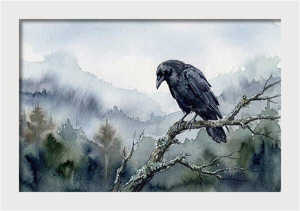 Raven Perched In Nature
