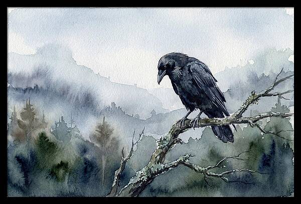 Raven Perched In Nature
