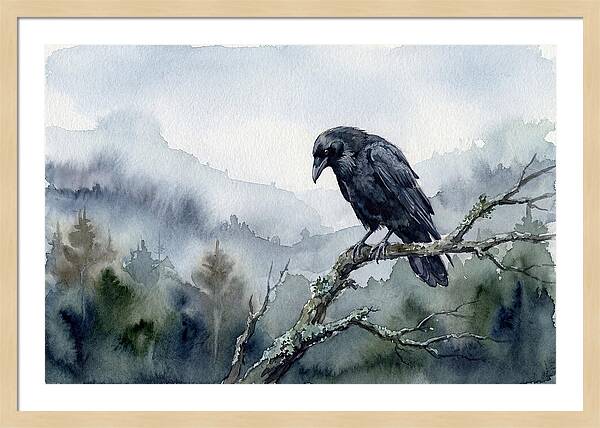 Raven Perched In Nature