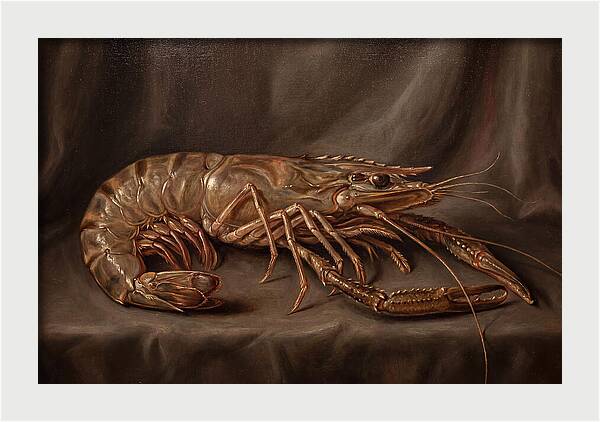 Realistic Prawn Study